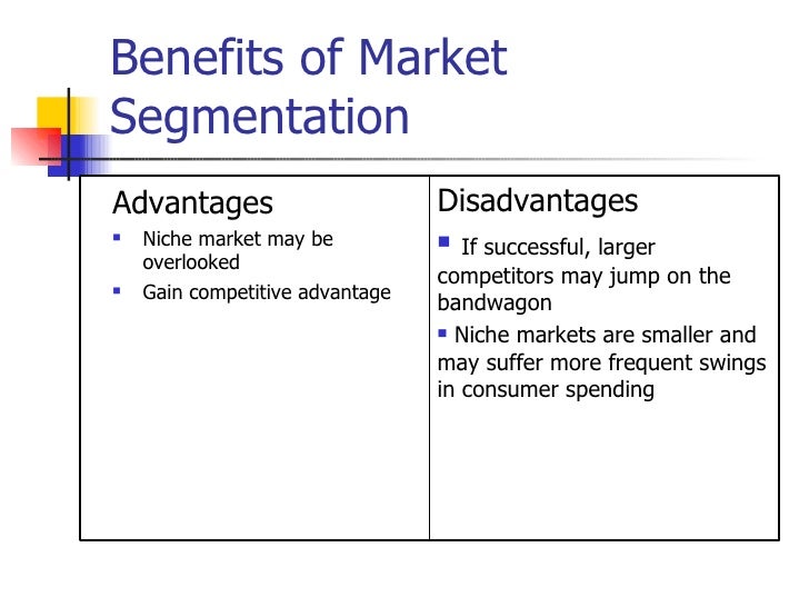 describe three disadvantages of market segmentation challenges of market segmentation